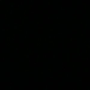 Meet your Posher, Julian